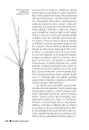 Velikonoce v české lidové kultuře - velikonoce_3.webp