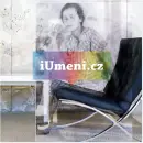 Vila Tugendhat. Fotografien fon Dirk Brömmel. - villa-tugendhat_4.webp