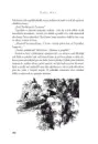 Vinnetou (dotisk) - vinnetou_4.webp