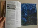 Všechno jako na počátku světa - vsechno-jako_3.webp