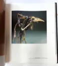 Vyznání v bronzu zakleté (antivariát) - vyznani-v-bronzu-ant_1.webp