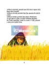 Vzhůru do Afriky - vzhuru-do-afriky_1.webp
