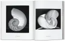 Edward Weston - weston_4.webp