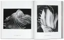 Edward Weston - weston_5.webp