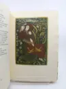 Z Dívánu- Šamsuddín Muhammad Háfez (bibliofilie) - z-divanu_3.webp