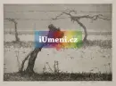 Tomáš Žemla - soubor grafik na téma vinohrady - zemla-grafika_14.webp