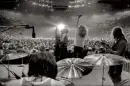 Led Zeppelin - zeppelin_6.webp