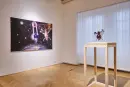 Zóny - Nultá léta ze sbírek Galerie Klatovy / Klenová - zony-klenova_4.webp