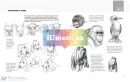 Praktický průvodce kreslení – Zvířata - zvirata_5.webp
