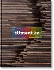 Ai Weiwei - obrázek