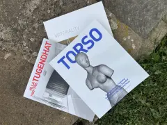 Vila Tugendhadt zevnitř i vně (akční tématický balíček) - obrázek