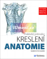 Praktický průvodce kreslení – Anatomie - obrázek