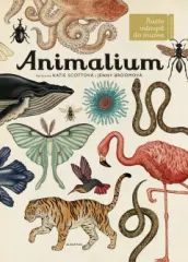 Animalium - obrázek