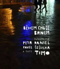 Během chůze Brnem - obrázek