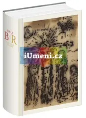 Bible Reynek - obrázek