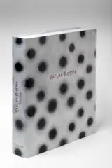 Václav Boštík - obrázek