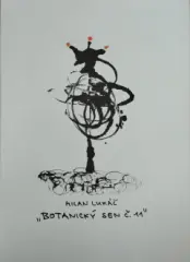 Milan Lukáč - Botanický sen č. 11 - obrázek