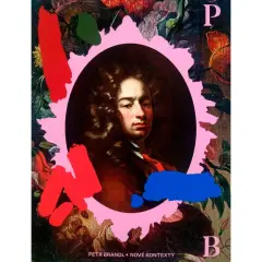 Petr Brandl. Nové kontexty - obrázek