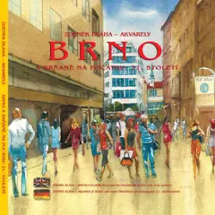 Brno a Brňané na počátku 21.století - obrázek