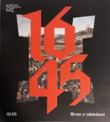Brno v obležení - obrázek