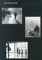 Miloš Budík - obrázek