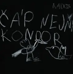 Čáp nejni kondor - obrázek