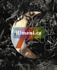 Černá slunce. Odvrácená strana modernity - obrázek