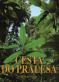Cesta do pralesa - obrázek