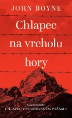 Chlapec na vrcholu hory - obrázek