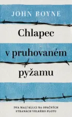 Chlapec v pruhovaném pyžamu - obrázek