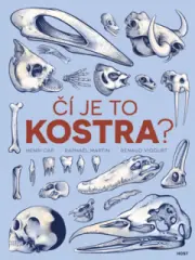 Čí je to kostra? - obrázek