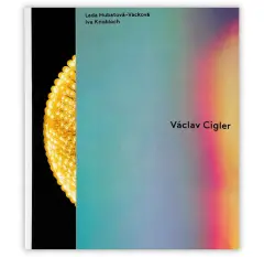 Václav Cigler - obrázek