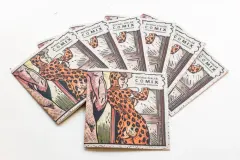 Michal Cihlář: COMIX - obrázek