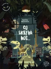 Co skrývá noc - obrázek