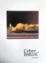 Hynek Martinec: Cyberlemon - obrázek