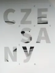 JONÁŠ CZESANÝ / EX-POST-IN - obrázek