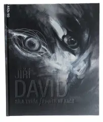 Jiří David - Síla tváře / Power of Face - obrázek