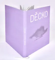 Mikoláš Axmann: Děcko - obrázek