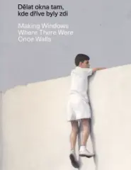 Dělat okna tam, kde dříve byly zdi / Making Windows Where There Were Once Walls - obrázek
