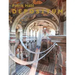 Patrik Hábl DEPOSITUM - obrázek