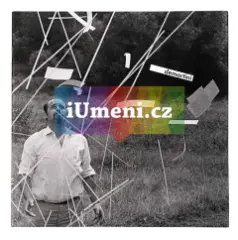 Dermatini - obrázek