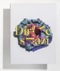 Díra ve stázi - obrázek