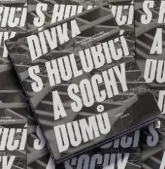 Dívka s holubicí a sochy domů - obrázek