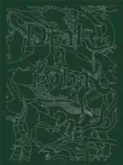 Drak a ryba - obrázek