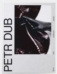 Petr Dub - Oddělení malby - obrázek