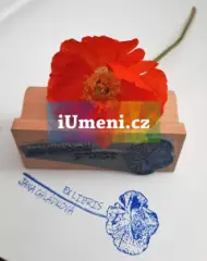 EX LIBRIS razítko - obrázek