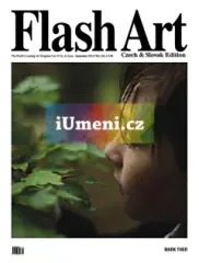 Flash Art 31/2014 - obrázek