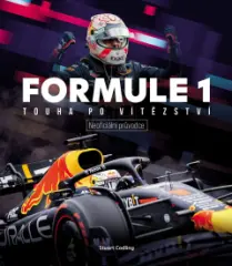 Formule 1: Touha po vítězství - obrázek