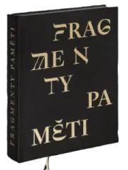 Fragmenty paměti - obrázek