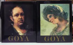 Goya I - II - obrázek